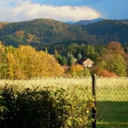 Ferienwohnung In Lichtenhain Mit Grill Daire *